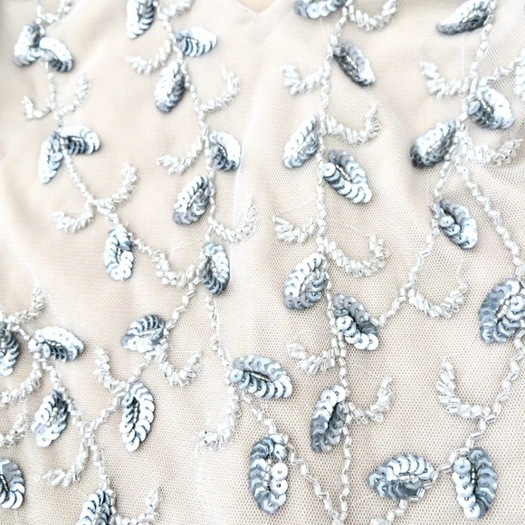 NEW! ADRIANNA PAPELL Sleeveless Knee Length Dress Sequins Beads Nude Pink SZ 12 - Picture 11 of 13